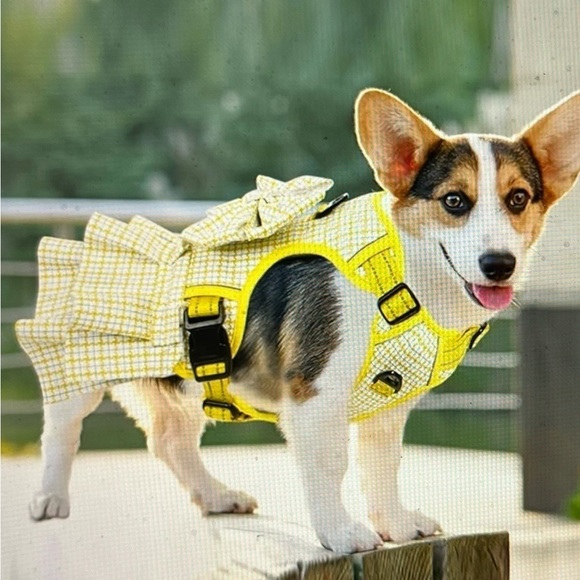 ASENKU Plaid Dog Dress Harness Leash Set - Large Dog - Picture 11 of 11